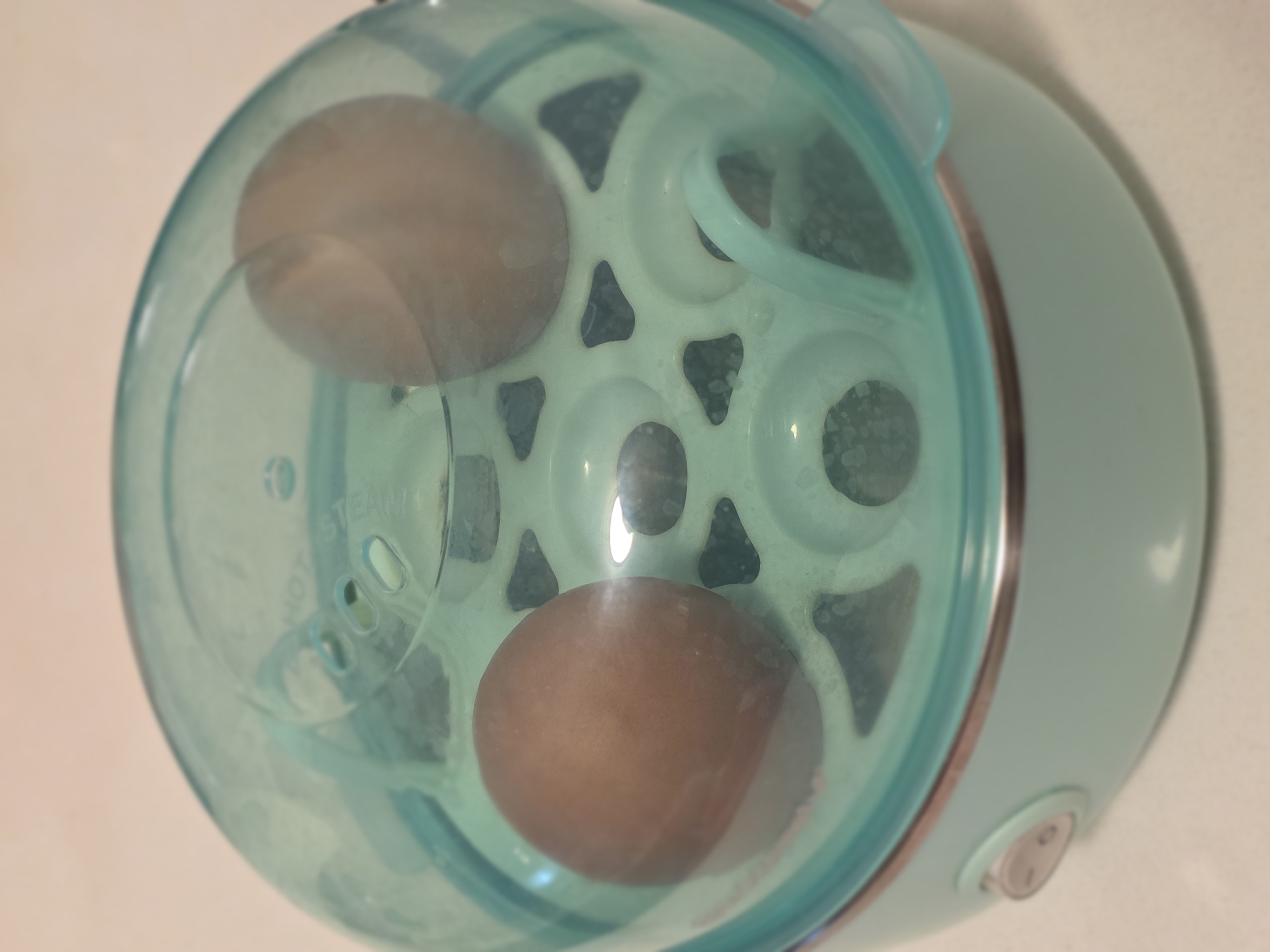 Egg Steaming Device With Lid
